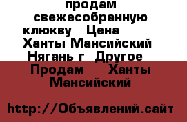 продам свежесобранную клюкву › Цена ­ 150 - Ханты-Мансийский, Нягань г. Другое » Продам   . Ханты-Мансийский